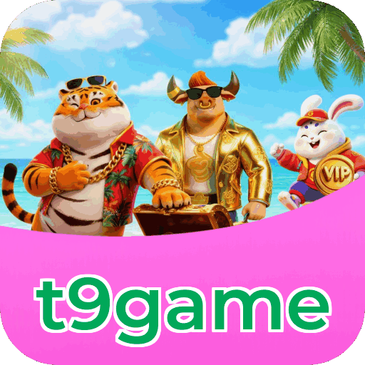 Métodos de pagamento aceitos na t9game